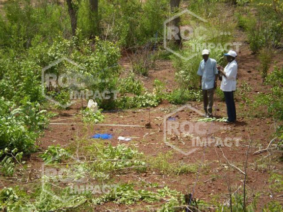 Instalaciones completa de chancado para la ste FIBROMAT en MALI