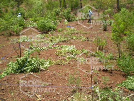Instalaciones completa de chancado para la ste FIBROMAT en MALI